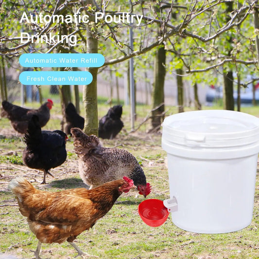 Automatic Poultry Drinker Cups, 10 Pack