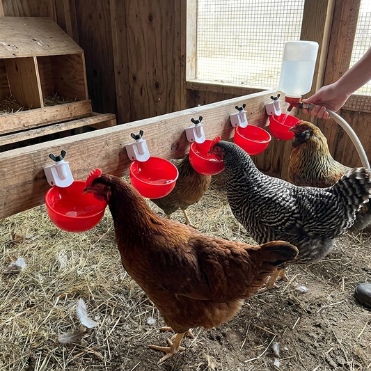 10 Pcs Chicken Waterer