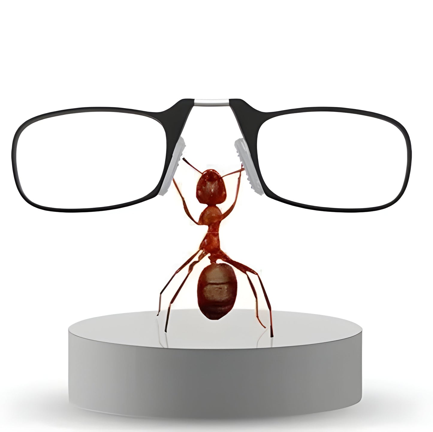 Foldable & Functional Glasses