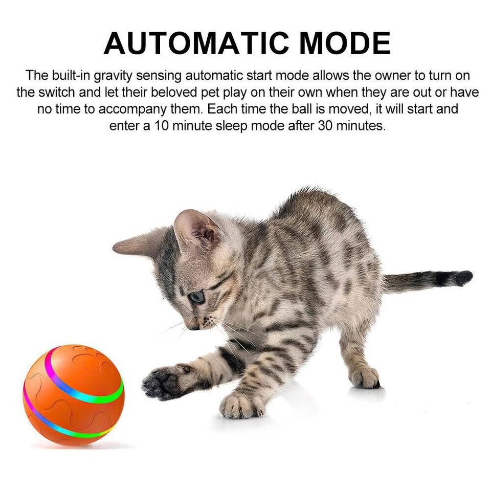 Interactive Dog Ball Toy
