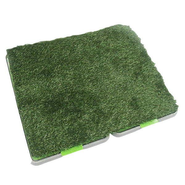 Indoor Grass