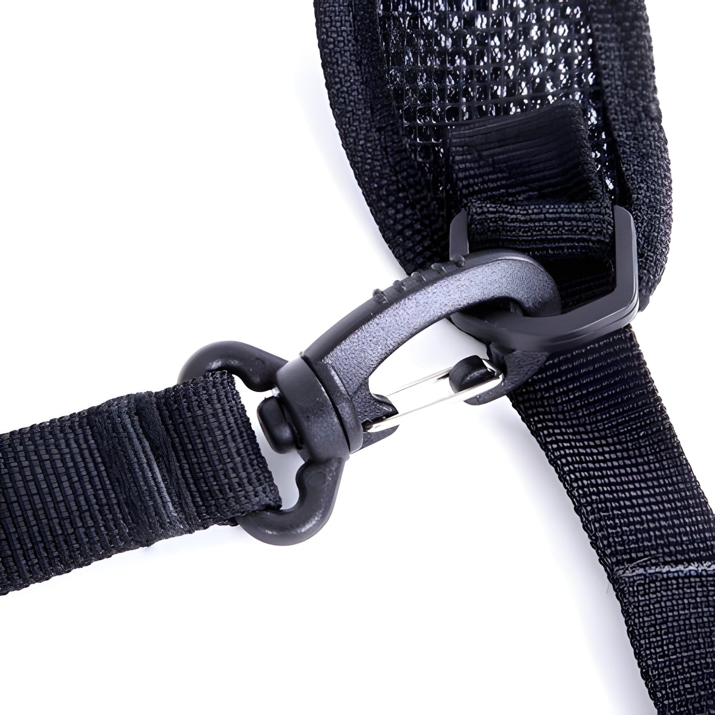 Dual Camera Chest Harness System
