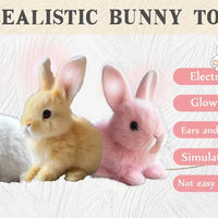 New Arrival Bunny Toy