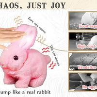 New Arrival Bunny Toy