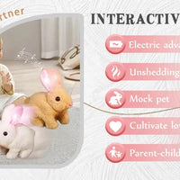 New Arrival Bunny Toy