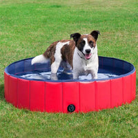 Foldable Dog Pool