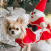 Santa Riding Dog Christmas Costume