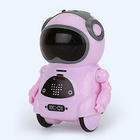 Pocket RC Robot
