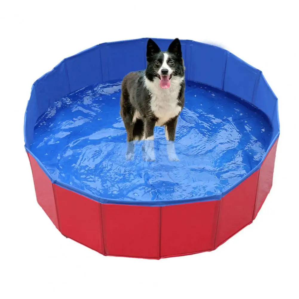 Foldable Dog Pool