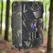 ProVision Night Vision Trail Camera