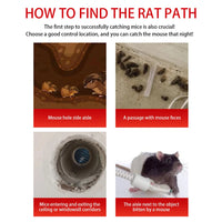 Sliding Door Design Reusable Mouse Trap Cage