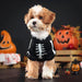 Skeleton Jumpsuit Dog Halloween Costume