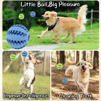 Interactive Rubber Ball