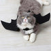 Bat Wing Halloween Costume for Pets