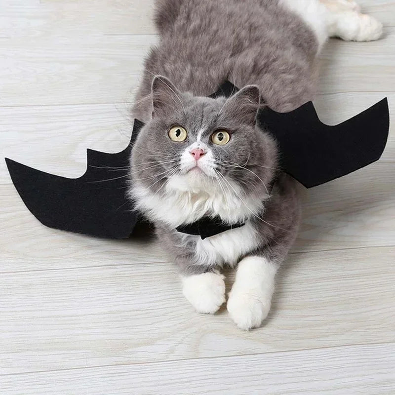 Bat Wing Halloween Costume for Pets