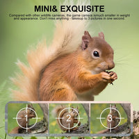 Compact Wildlife Camera with HD Infrared Night Vision
