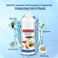 3 Pack Fish Tank Cleaner Liquid