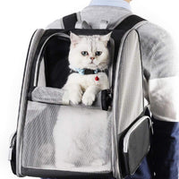 Backpack Carrier Cat