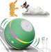 Interactive Dog Ball Toy