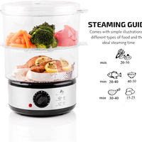 Electric Vegetable Steamer