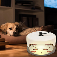 Indoor Bed Bug Trap