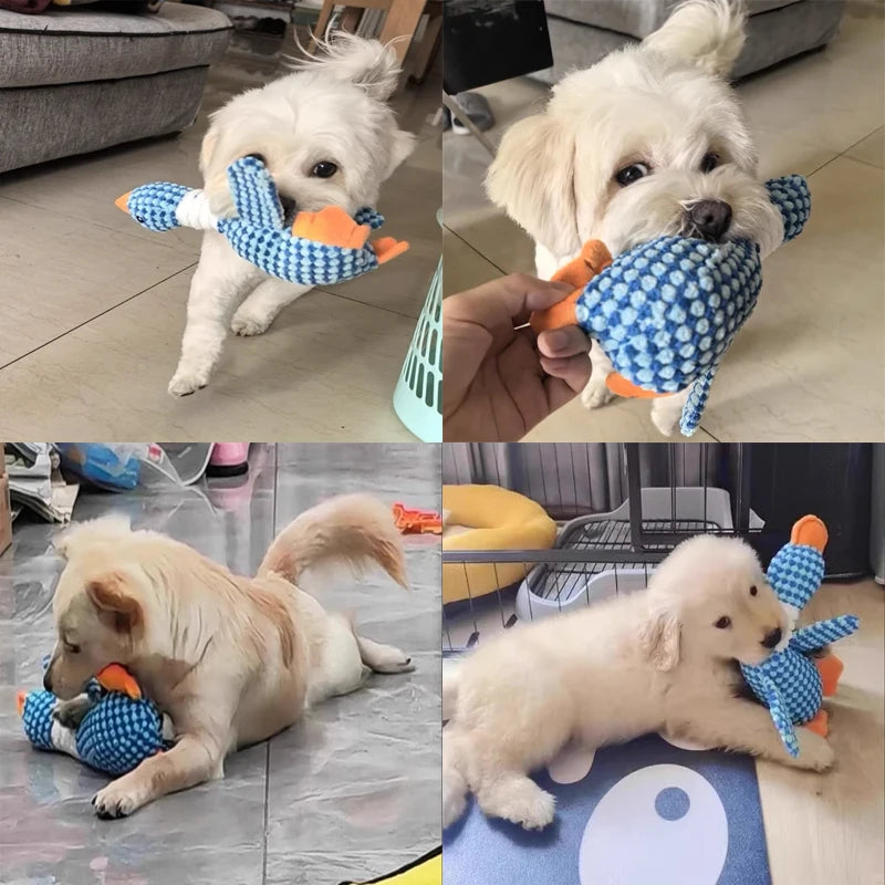 Plush Dog Chew Toy with Squeaker