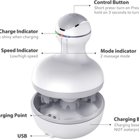 Scalp Massager