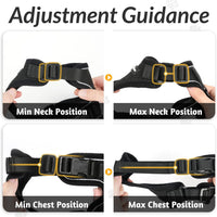 Escape Proof Cat Harness