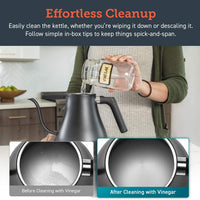 Electric Gooseneck Kettle