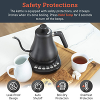 Electric Gooseneck Kettle
