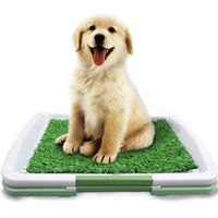 Dog Toilet With Artificial Turf
