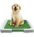 Dog Toilet With Artificial Turf