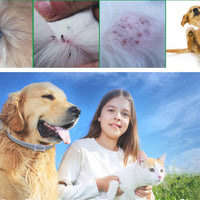 Dog Pest Collar