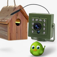 1080p HD weatherproof wildlife camera with night vision, motion detection, and remote access