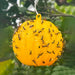 Hanging Fly Trap with Adhesive Layer (6 Pcs)