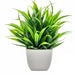 Artificial Plants With Pots
