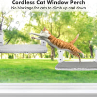 Cat Hammock Window
