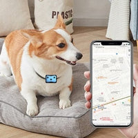 GPS Tracker for Dogs | Location Collar