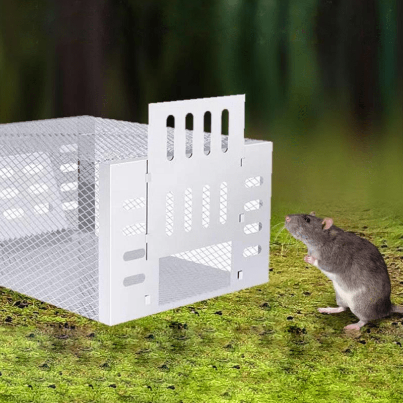 Human Mouse Trap with Safe & Reusable Design