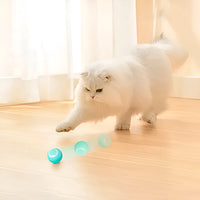 Interactive Pet Ball, Rolls Automatically