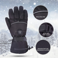 3 Pairs Of Heated Gloves