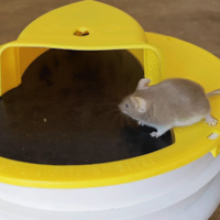 Premium Bucket Lid Mouse Trap
