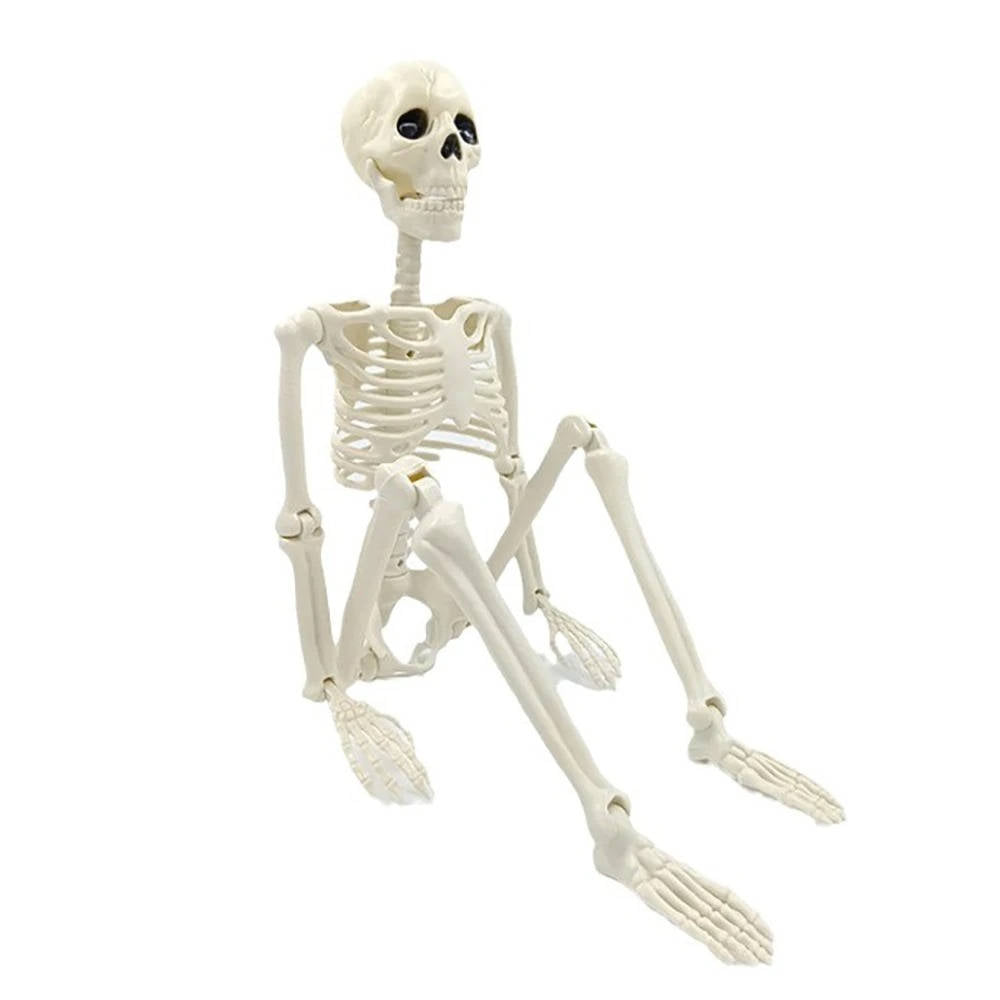 Human Skeleton Halloween Decorations Outdoor