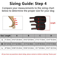 Orthopedic Braces For Dogs