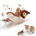 Interactive Cat Chase Toys
