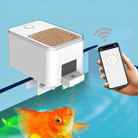 Automatic Food Feeder For Fish
