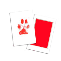 Dog Paw Print Kit