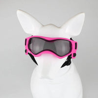 Dog Goggles