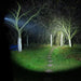 Head Flashlight