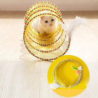 Cat Hunting Toys
